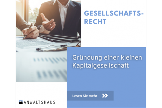 Gründung einer kleinen Kapitalgesellschaft: GmbH vs. UG (haftungsbeschränkt)